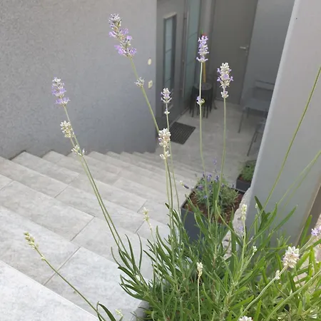 Apartmán Emma - Free Parking, Ac, Wifi