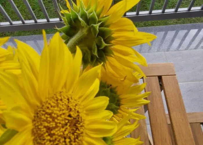 Emma - Free Parking, Ac, Wifi