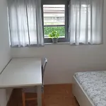 Apartman Emma - Free Parking, Ac, Wifi *